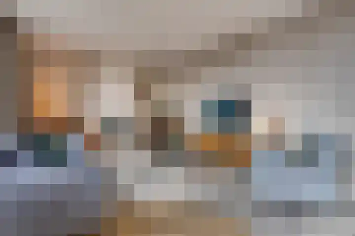De Heus Plein 47 Barneveld thumbnail 12