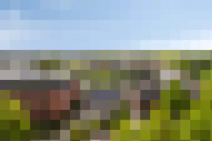 De Heus Plein 47 Barneveld thumbnail 18