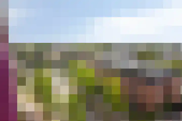 De Heus Plein 47 Barneveld thumbnail 19
