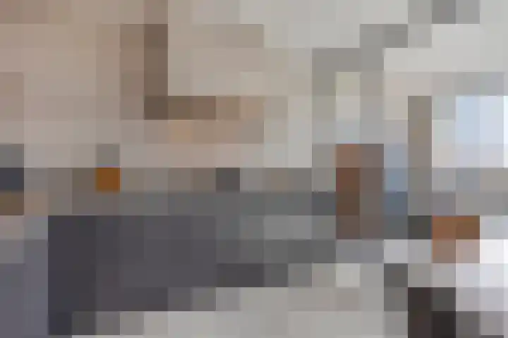 De Heus Plein 47 Barneveld thumbnail 21
