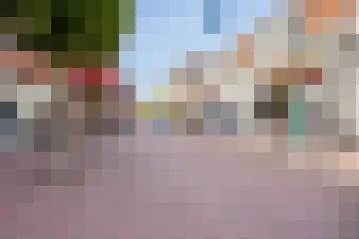 De Heus Plein 47 Barneveld thumbnail 34