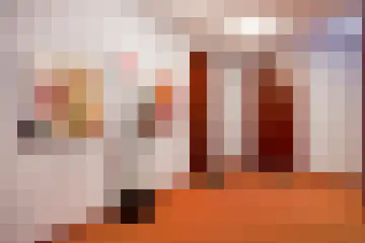 De Heus Plein 47 Barneveld thumbnail 6