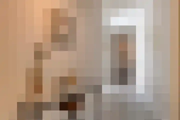 De Heus Plein 47 Barneveld thumbnail 8