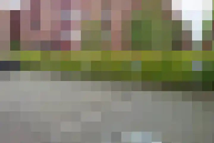 De Heus Plein 66 Barneveld thumbnail 37