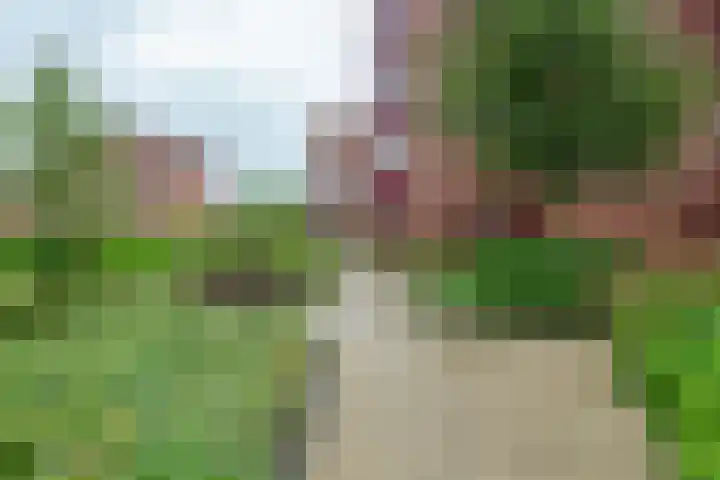 De Heus Plein 66 Barneveld thumbnail 38