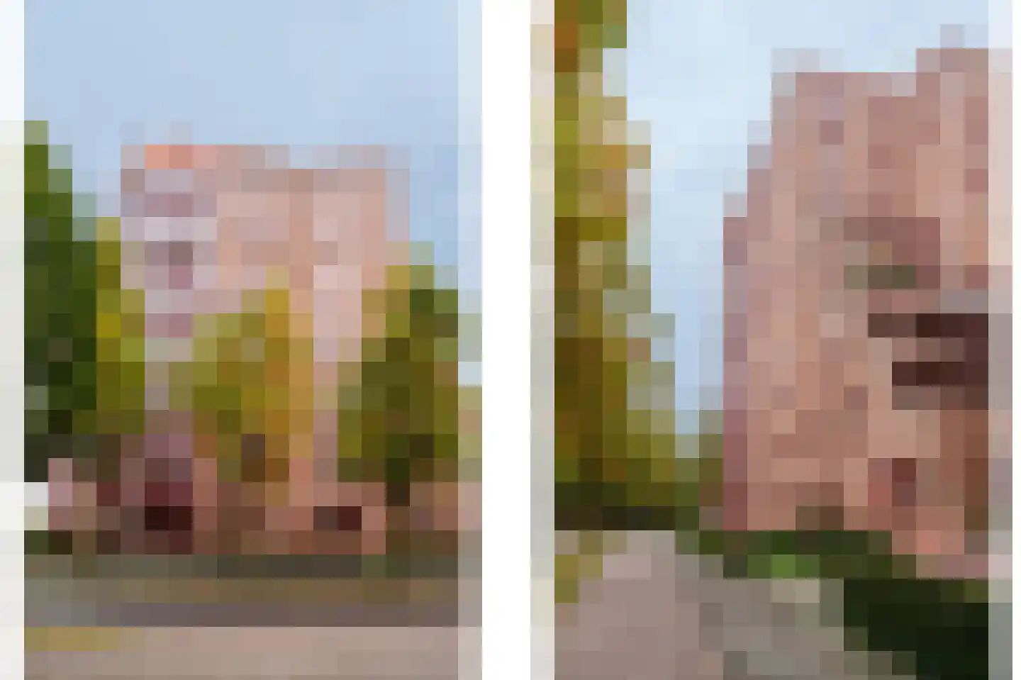 De Heus Plein 68 Barneveld thumbnail 51