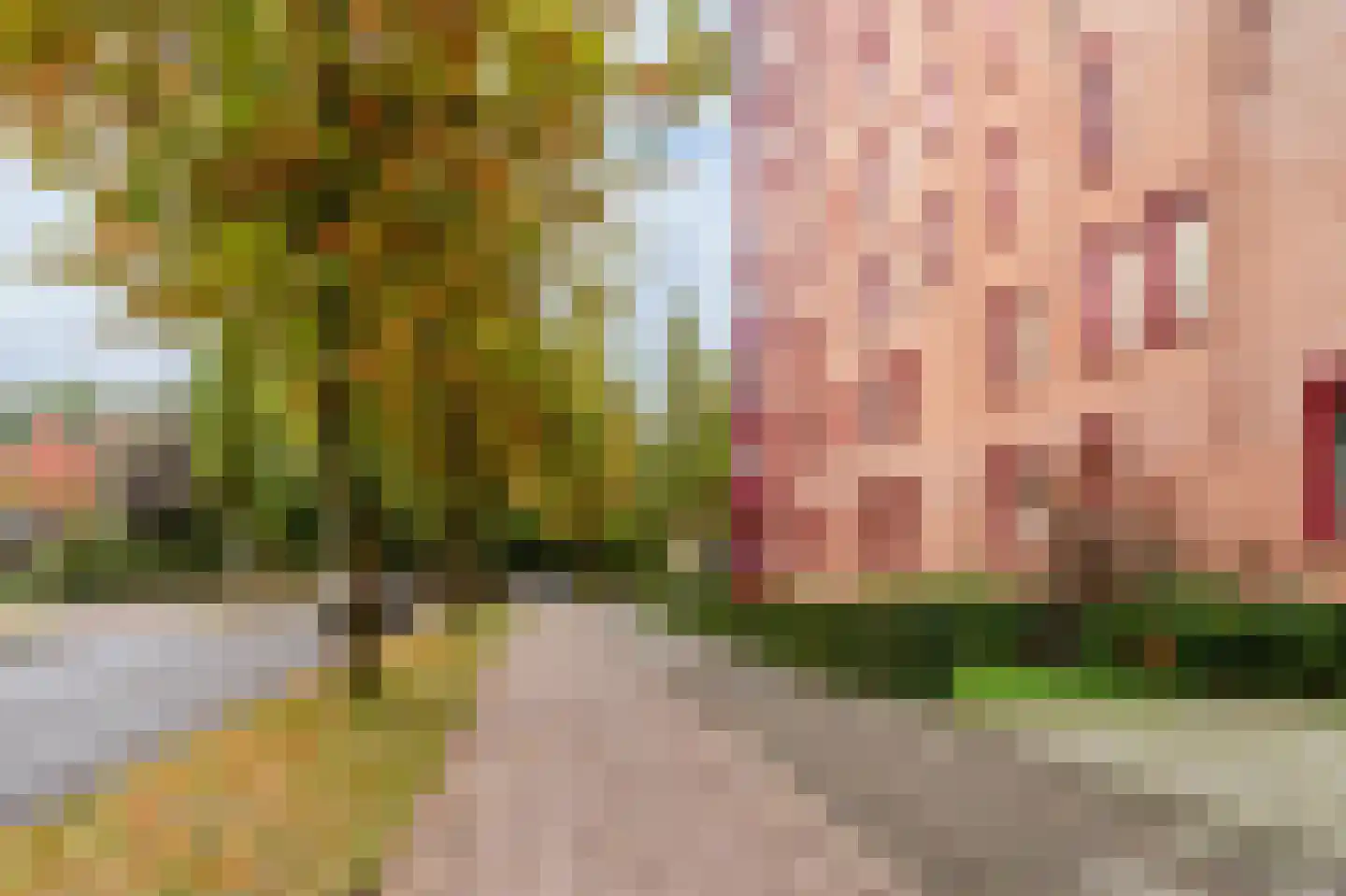 De Heus Plein 68 Barneveld thumbnail 54