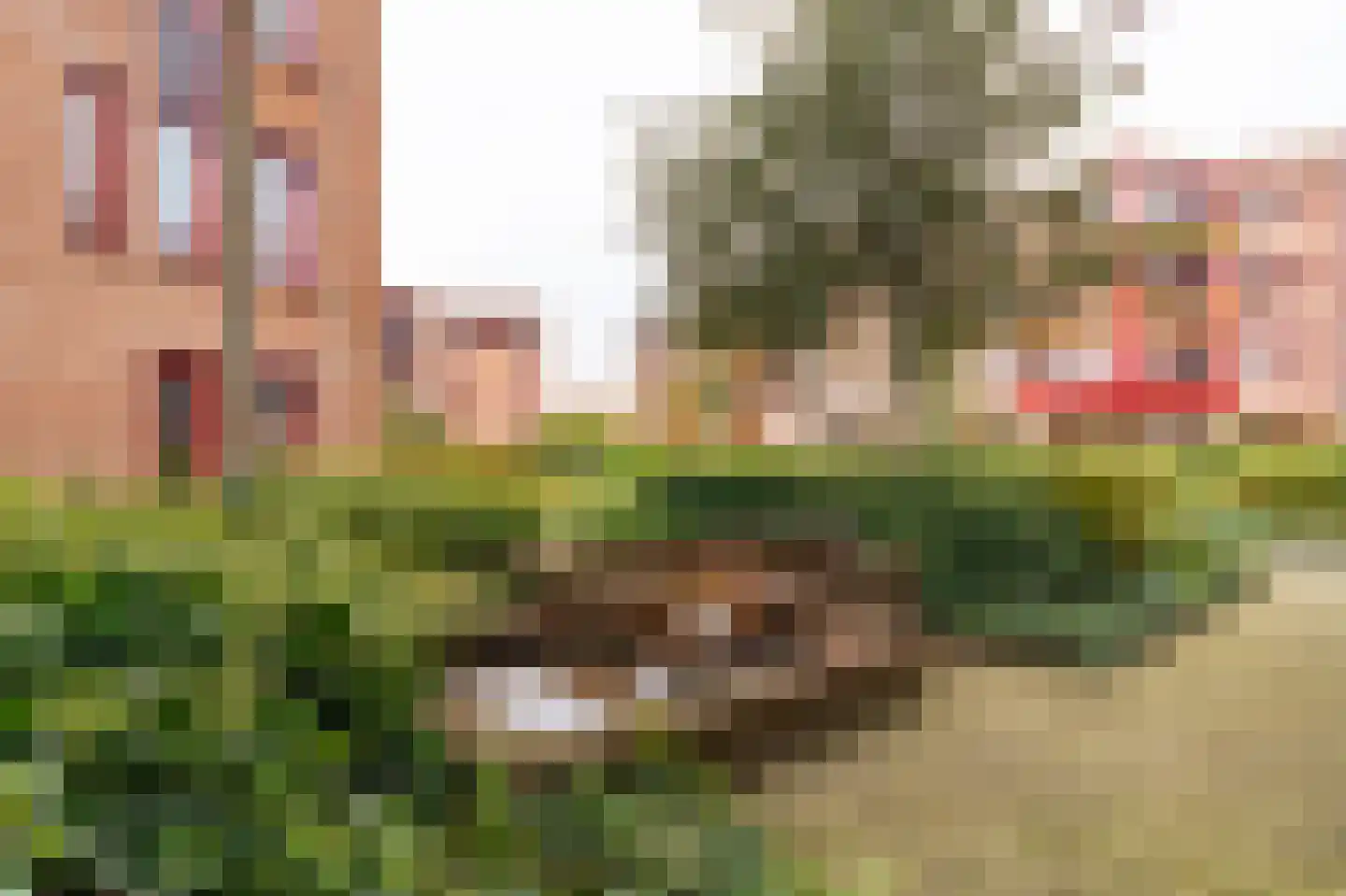 De Heus Plein 68 Barneveld thumbnail 55