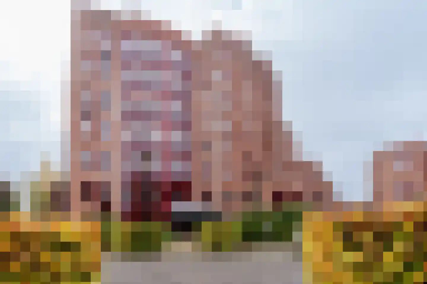 De Heus Plein 68 Barneveld thumbnail 6