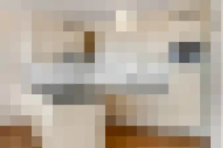 De Heus Plein 71 Barneveld thumbnail 18
