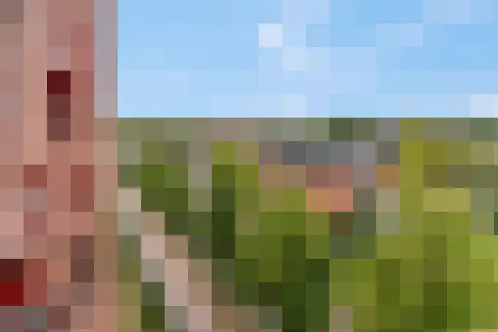 De Heus Plein 71 Barneveld thumbnail 31