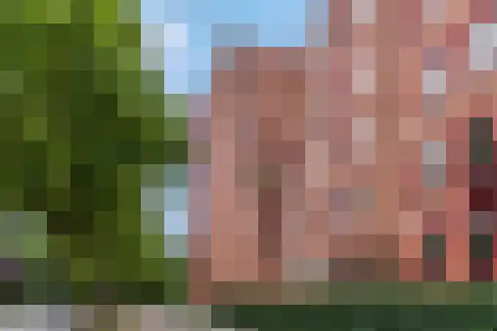 De Heus Plein 71 Barneveld thumbnail 6