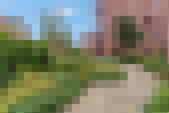 De Heus Plein 71 Barneveld thumbnail 7