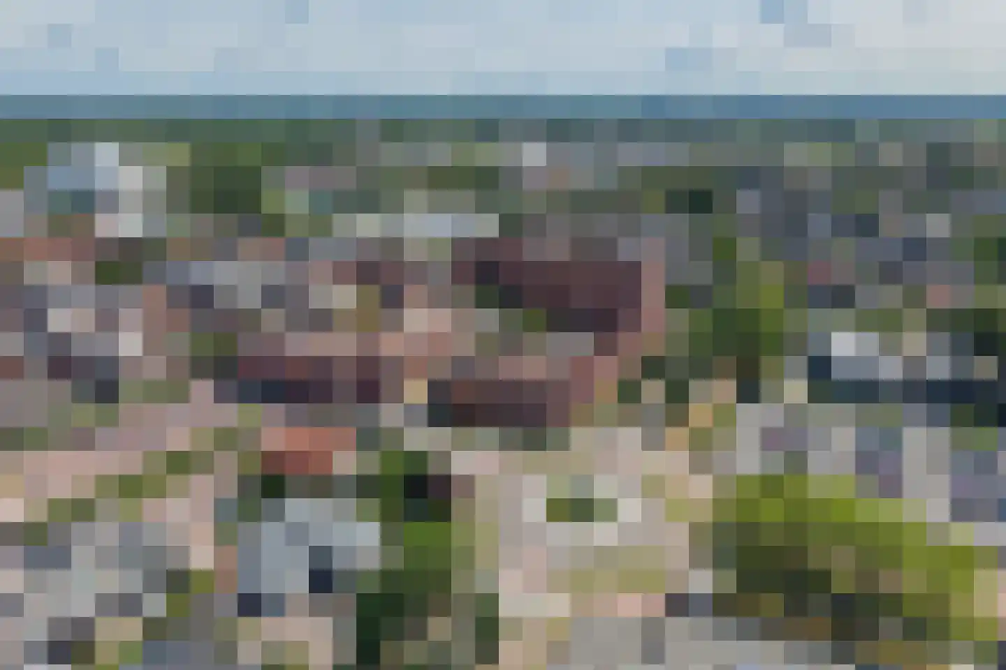 De Heus Plein 90 Barneveld thumbnail 45