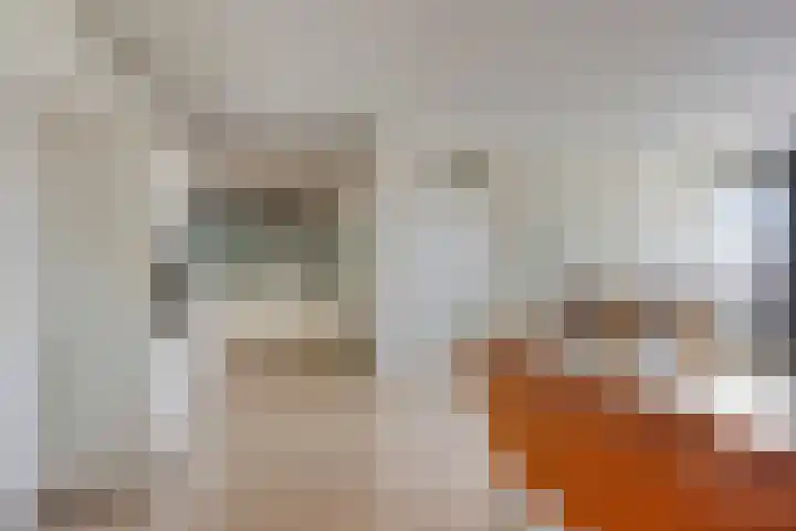 De Heus Plein 95 Barneveld thumbnail 12