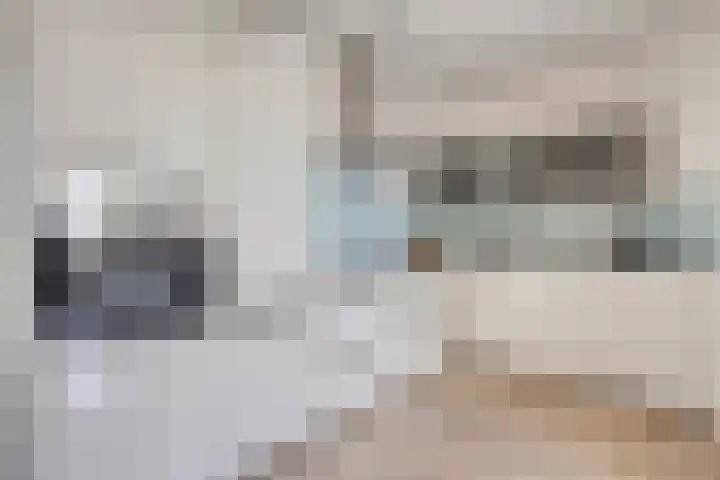 De Heus Plein 95 Barneveld thumbnail 13
