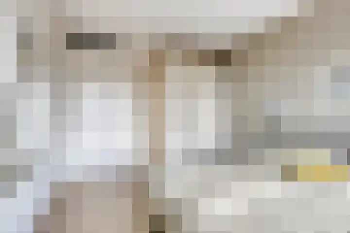 De Heus Plein 95 Barneveld thumbnail 15