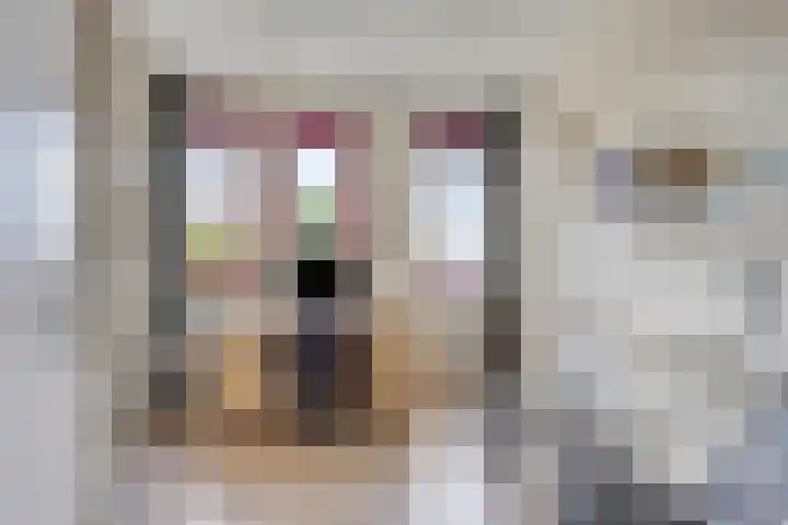 De Heus Plein 95 Barneveld thumbnail 17