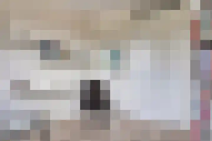 De Heus Plein 95 Barneveld thumbnail 18