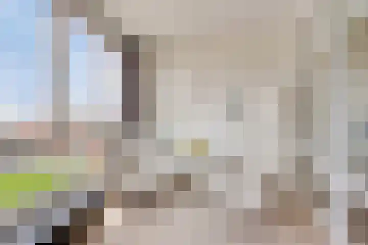 De Heus Plein 95 Barneveld thumbnail 9