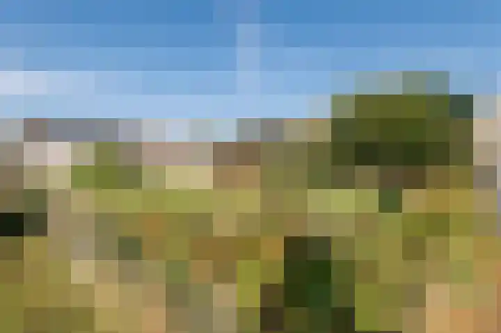 De Heuvel 4 Beusichem thumbnail 26