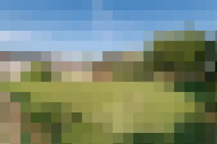 De Heuvel 4 Beusichem thumbnail 29