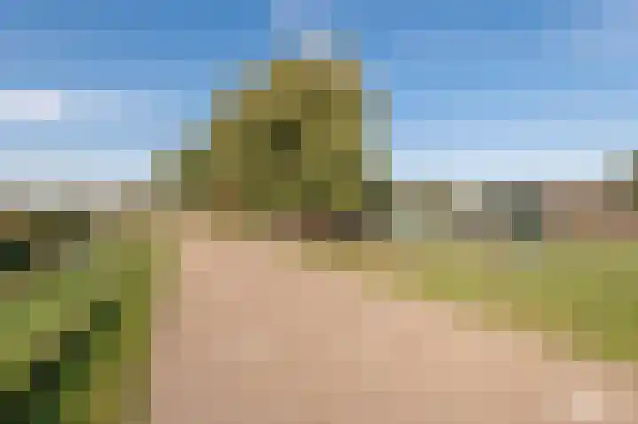 De Heuvel 4 Beusichem thumbnail 38