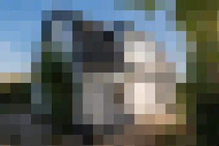 De Heuvel 4 Beusichem thumbnail 4