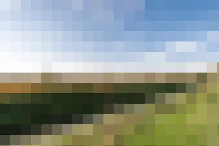 De Heuvel 4 Beusichem thumbnail 40