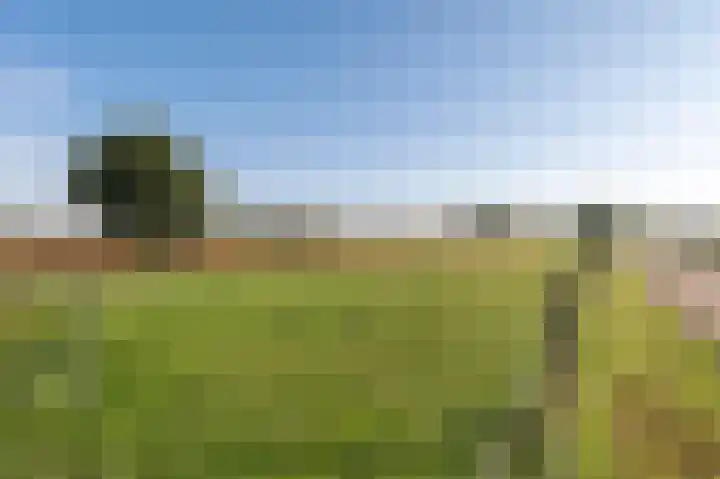 De Heuvel 4 Beusichem thumbnail 41