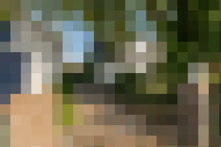 De Heuvel 4 Beusichem thumbnail 42