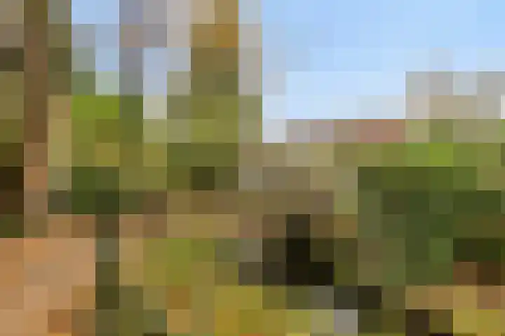 De Heuvel 41 Poortugaal thumbnail 4