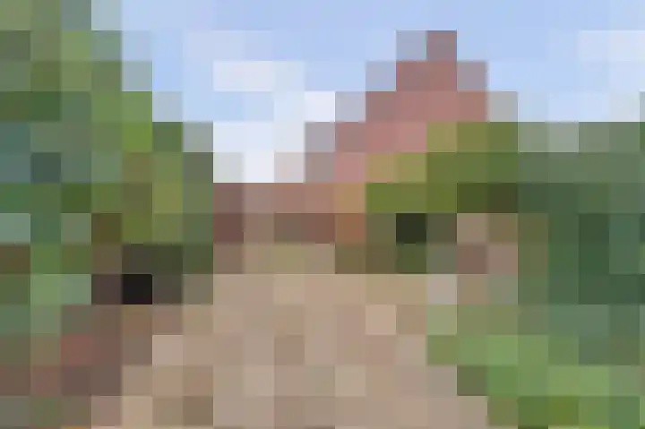 De Heuvel 6 Ermelo thumbnail 25