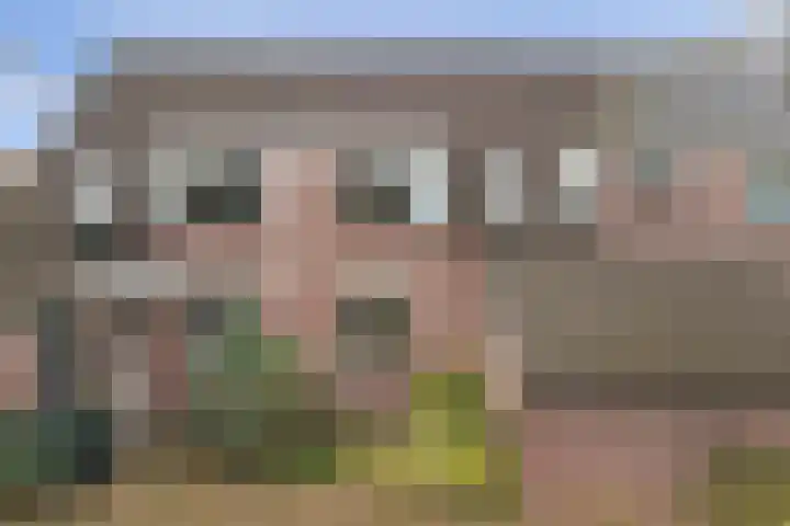 De Heuvel 6 Ermelo thumbnail 27