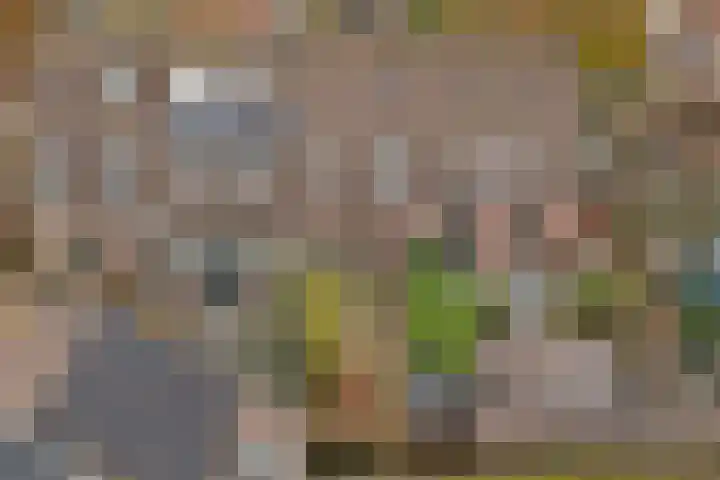 De Heuvel 6 Ermelo thumbnail 31