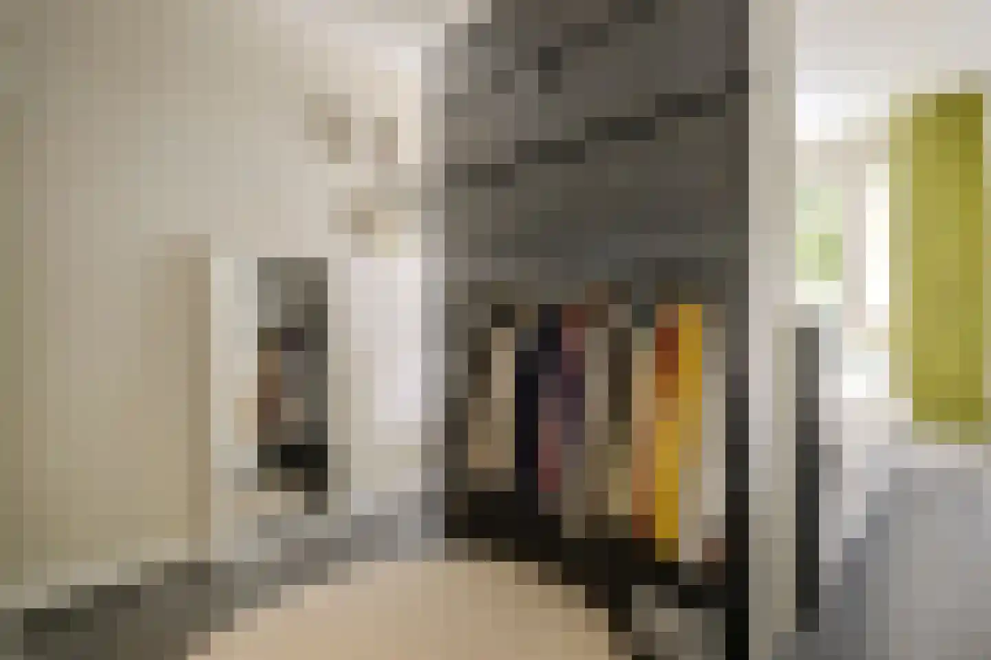 De Heuvelaar 10 Venray thumbnail 20