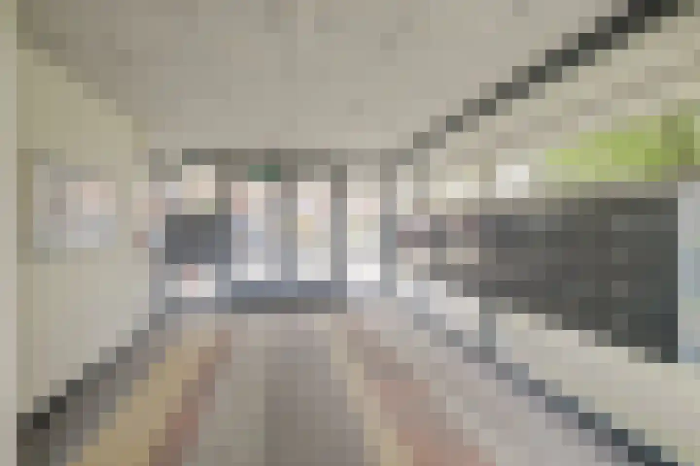 De Heuvelaar 10 Venray thumbnail 5