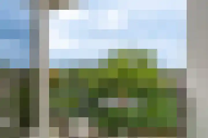 De Heuvelaar 37 Venray thumbnail 15