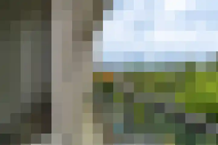 De Heuvelaar 37 Venray thumbnail 16