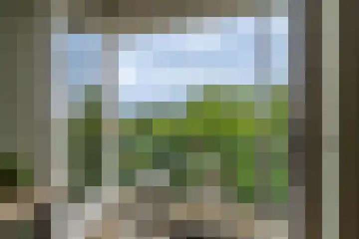 De Heuvelaar 37 Venray thumbnail 4