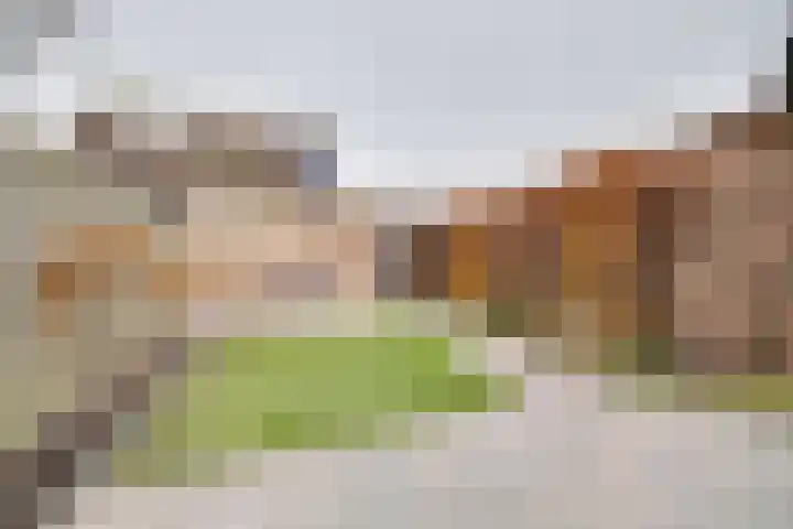 De Heuvelaar 37 Venray thumbnail 40