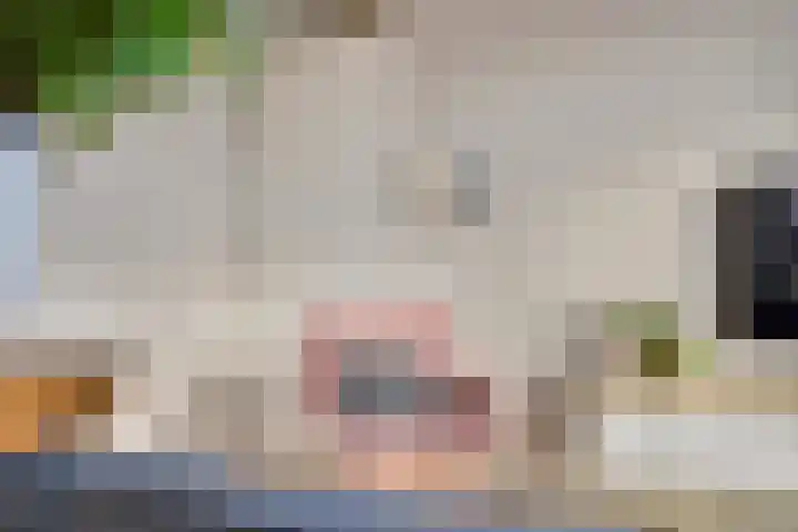 De Heuvelaar 40 Venray thumbnail 22