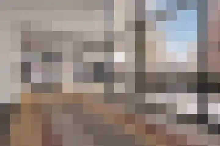 De Heuvelaar 40 Venray thumbnail 6