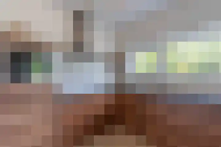 De Heuvelaar 50 Venray thumbnail 10