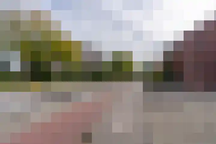 De Heuvelaar 50 Venray thumbnail 34