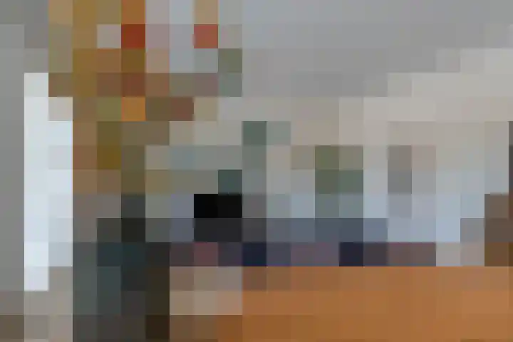 De Heuvelaar 50 Venray thumbnail 4