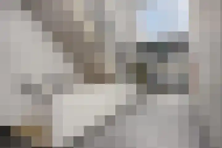 De Heze 27 Breda thumbnail 30
