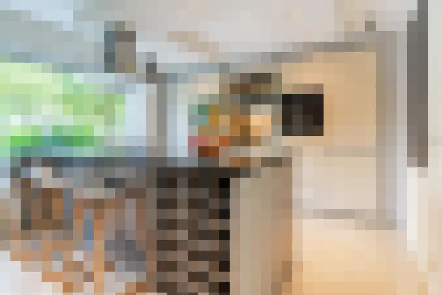 De Heze 67 Breda thumbnail 12