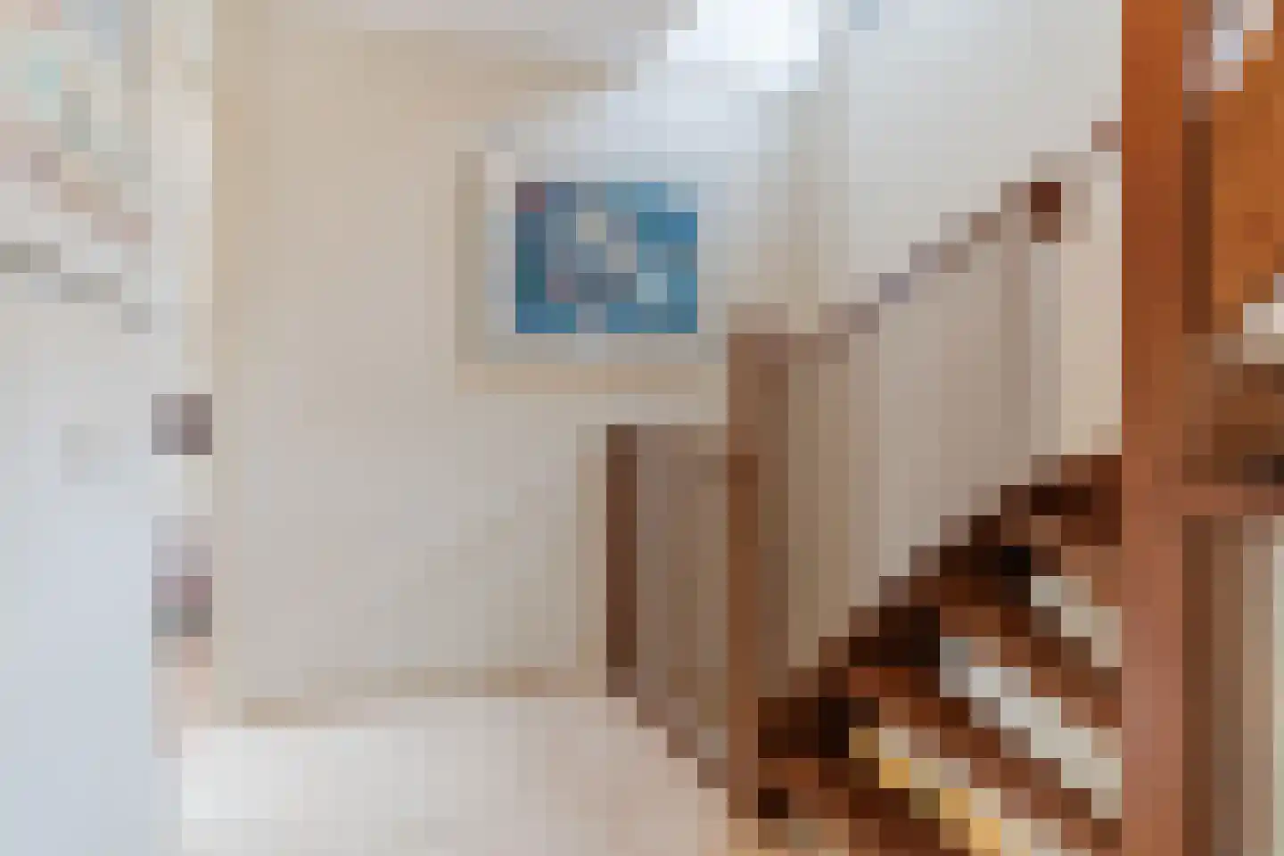 De Heze 67 Breda thumbnail 25
