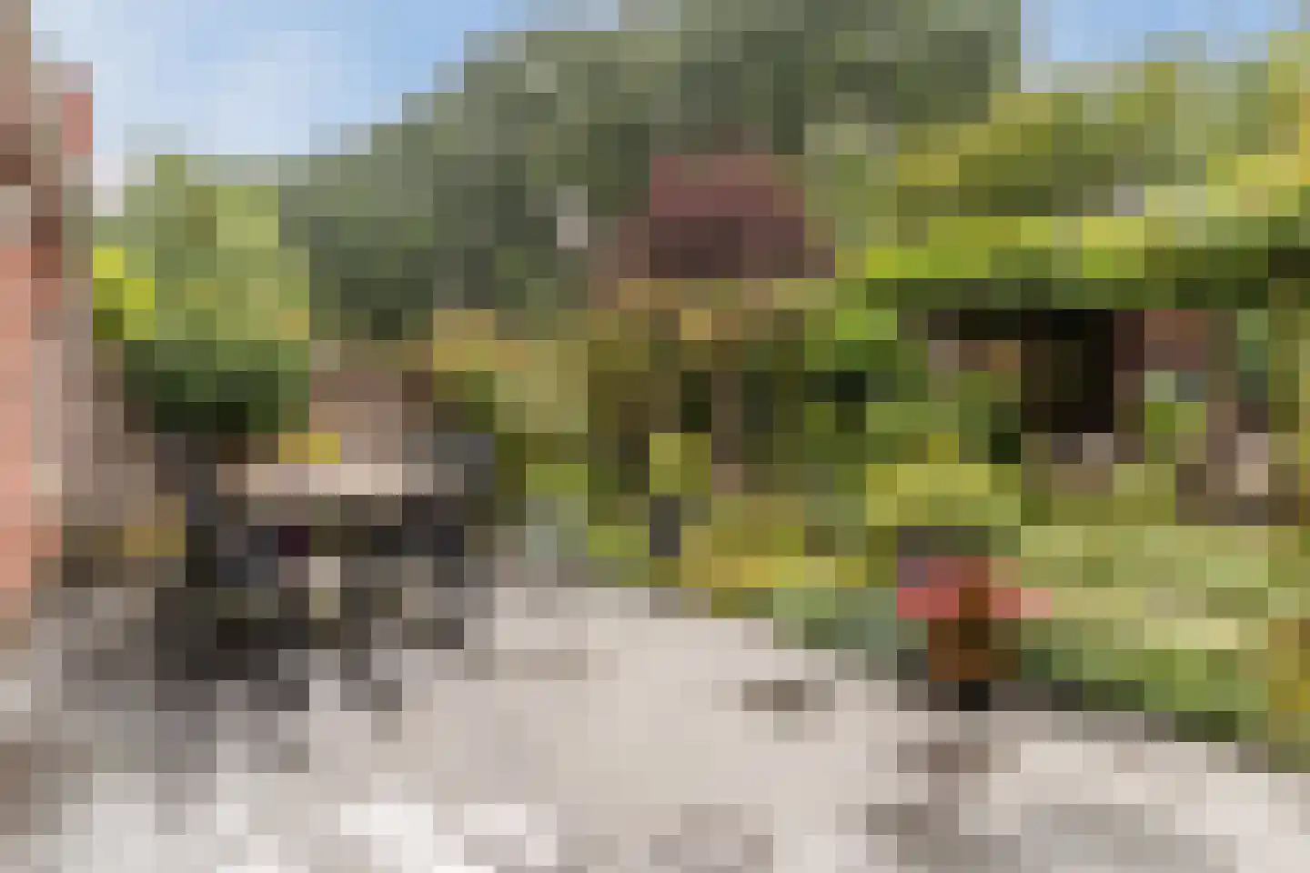 De Heze 67 Breda thumbnail 35